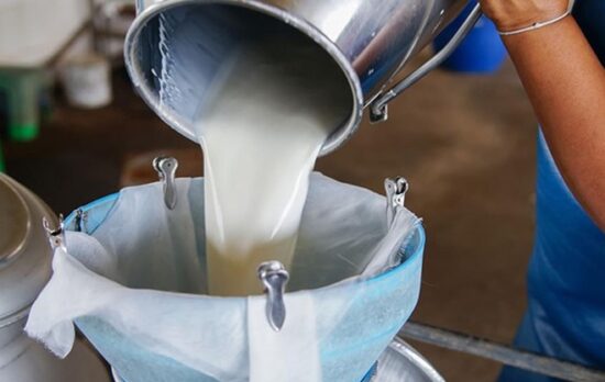 Çiğ Süt Destekleme Ödemeleri 2021