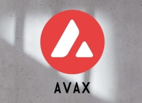 Avax Coin Nasıl Alınır? Avax Coin Kaç TL?