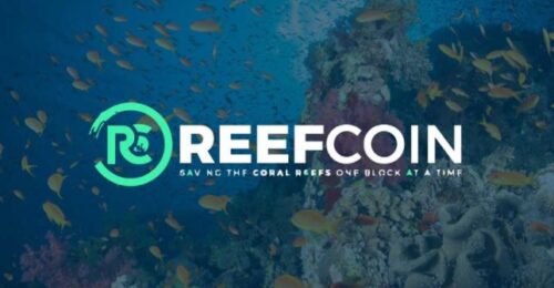 Reef Coin Nasıl Alınır? REEF Binance İşlemleri